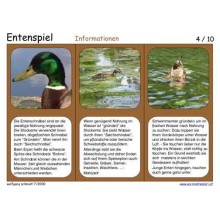 Entenspiel 