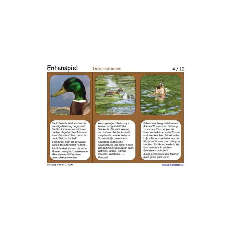 Duck game