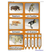Earth age