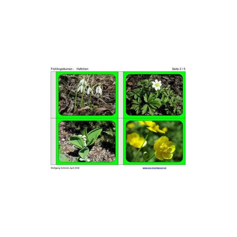 spring flowers
