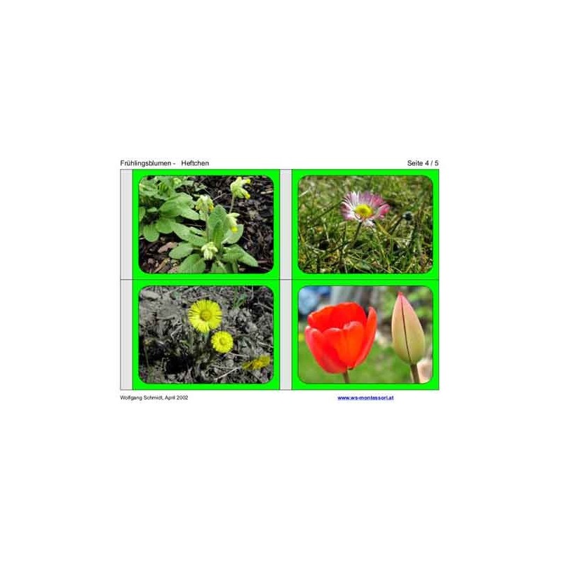 Frühlingsblumen