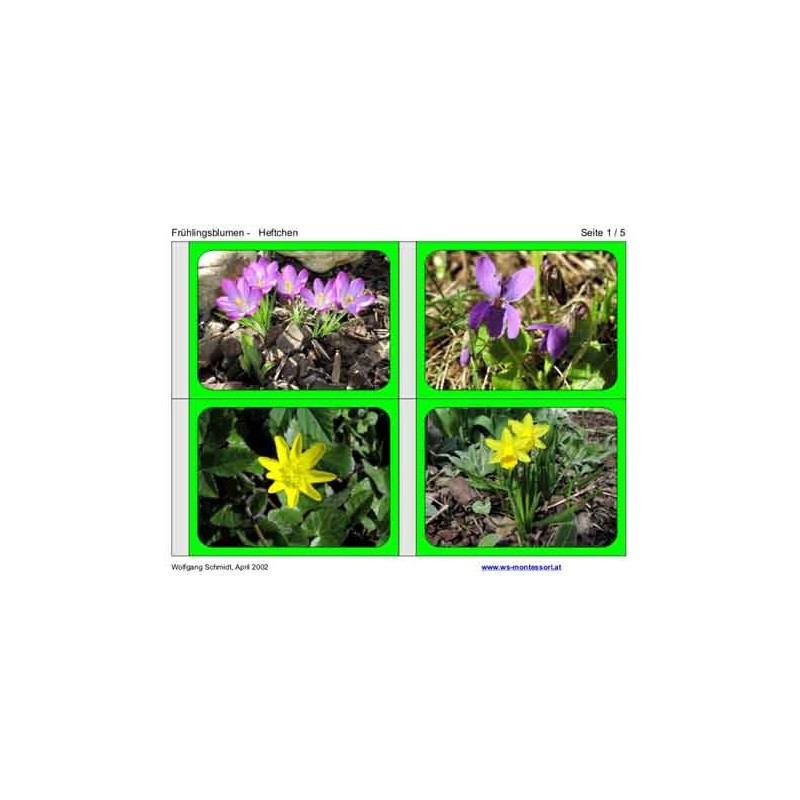 spring flowers