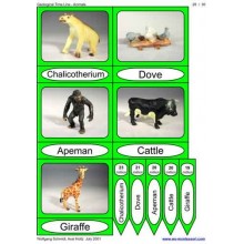 Geological Time Line	 (Dieser Artikel ist auch in deutsch erhältlich)