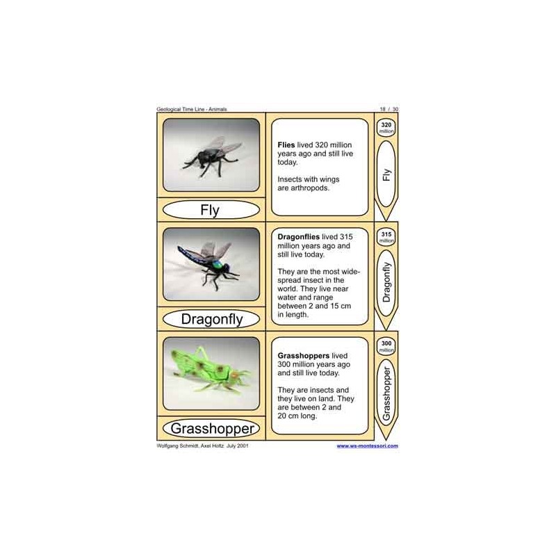 Geological Time Line (This article is also available in German)