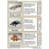 Geological Time Line	 (Dieser Artikel ist auch in deutsch erhältlich)