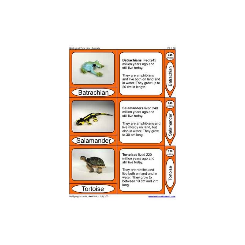 Geological Time Line	 (Dieser Artikel ist auch in deutsch erhältlich)