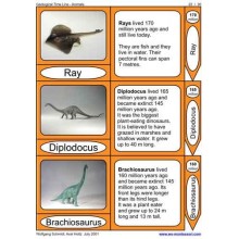 Geological Time Line	 (Dieser Artikel ist auch in deutsch erhältlich)