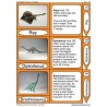 Geological Time Line	 (Dieser Artikel ist auch in deutsch erhältlich)