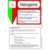 Geological Time Line	 (Dieser Artikel ist auch in deutsch erhältlich)