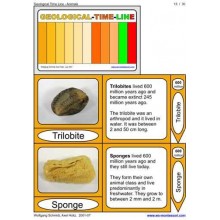 Geological Time Line	 (Dieser Artikel ist auch in deutsch erhältlich)