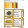 Geological Time Line	 (Dieser Artikel ist auch in deutsch erhältlich)