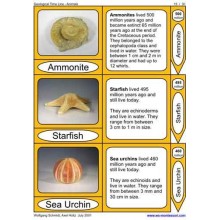 Geological Time Line	 (Dieser Artikel ist auch in deutsch erhältlich)