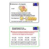Výpočtová karta EURO