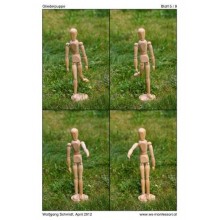 Mannequin