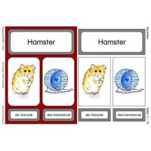 Haustiere