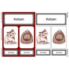 Pets
