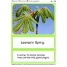 Horse-Chestnuts (This article is also available in German)
