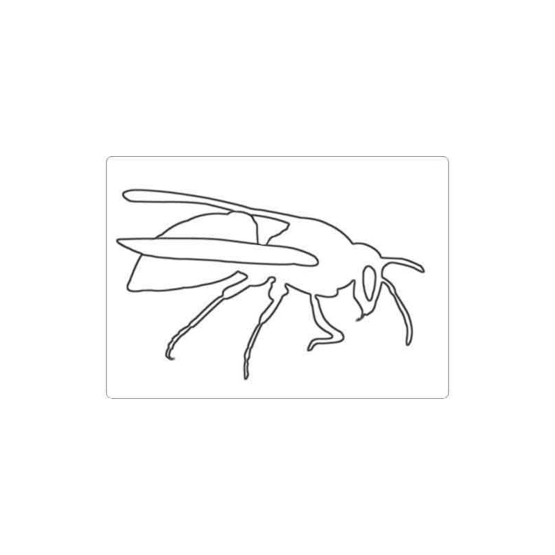 Insekten