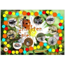 insects
