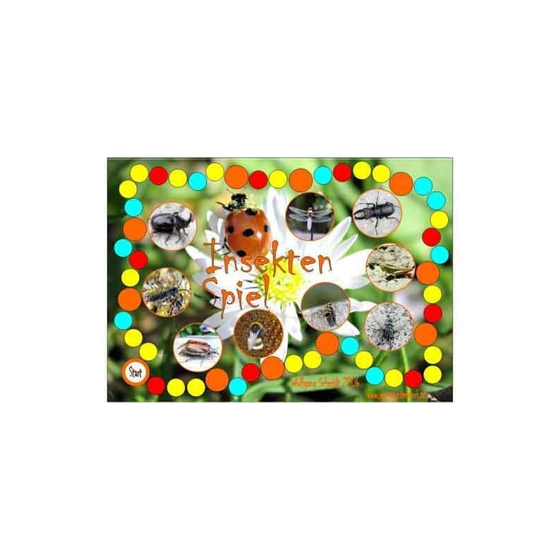 insects