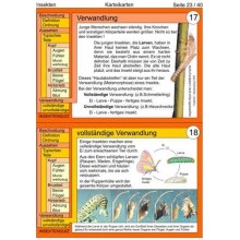 Insekten