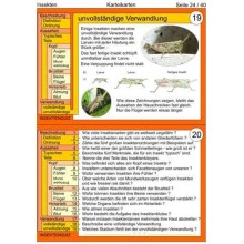 Insekten