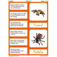 Insekten