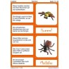 Insekten