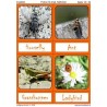 Insekten
