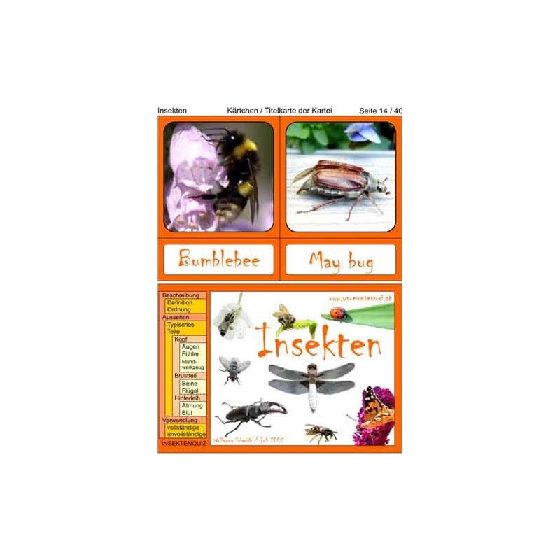 Insekten