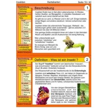 Insekten