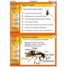 Insekten