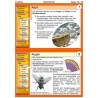 Insekten