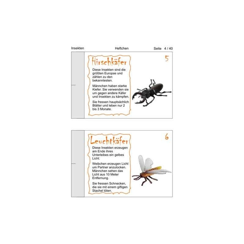Insekten