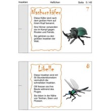 Insekten
