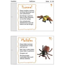Insekten