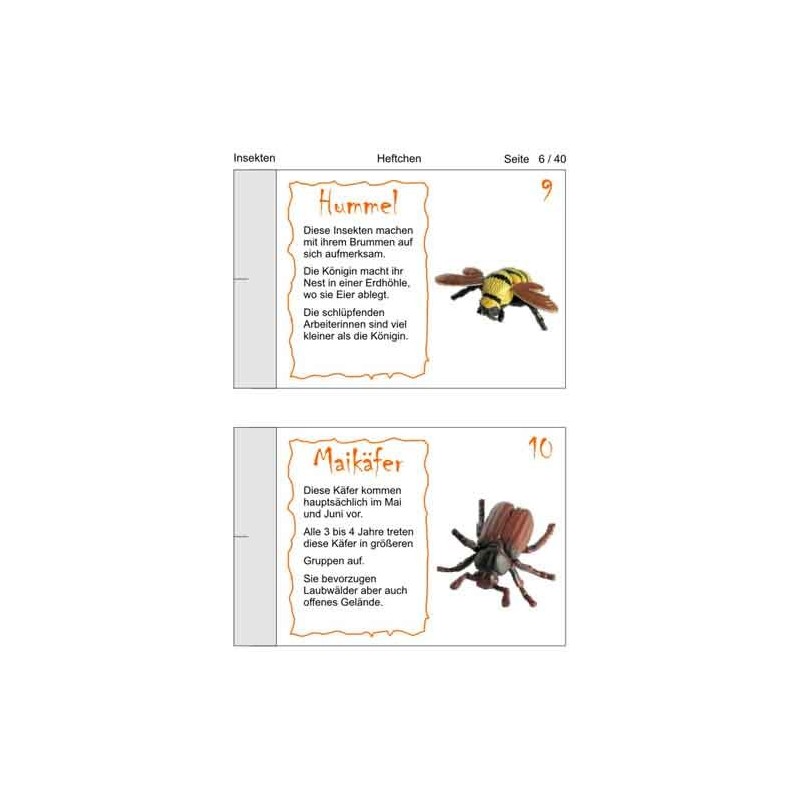 Insekten