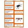 Insekten