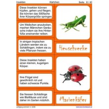 insects