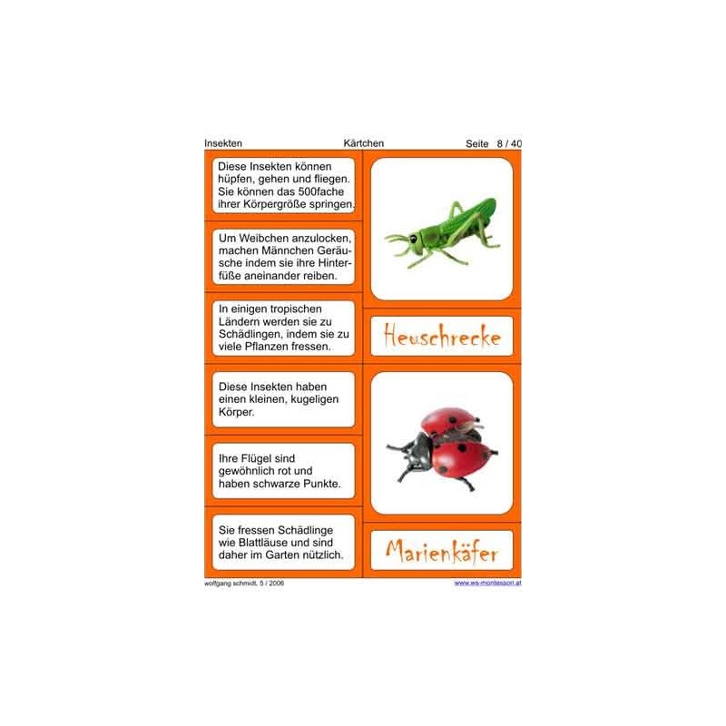 Insekten
