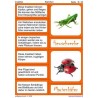 insects
