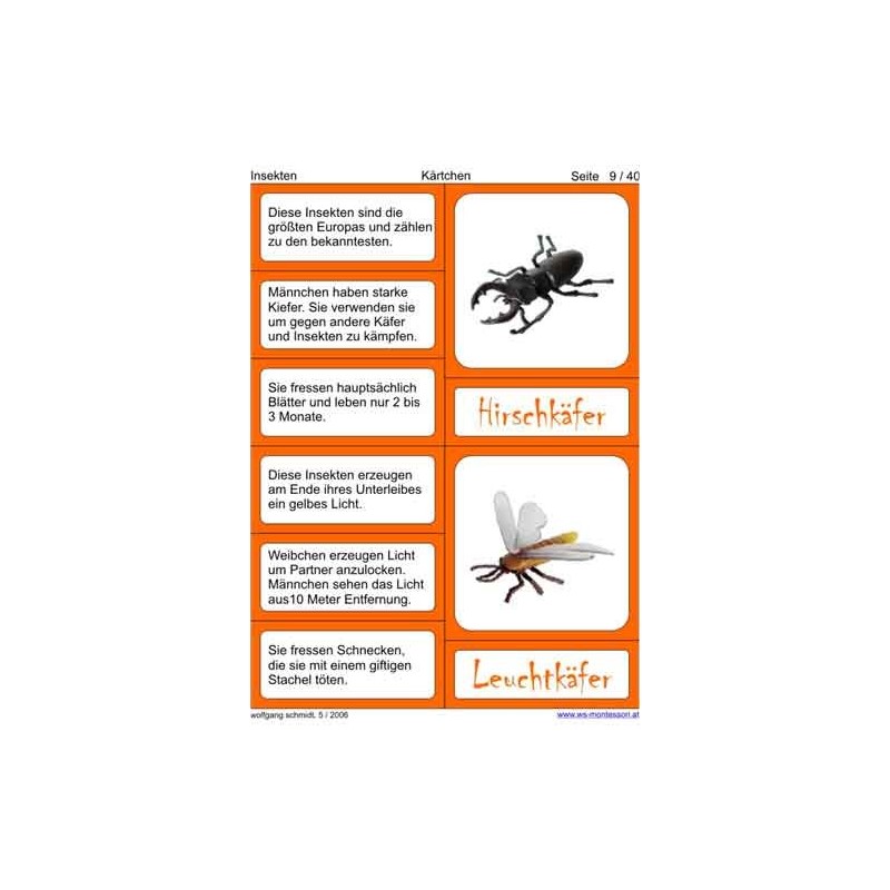 Insekten