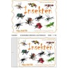 Insekten
