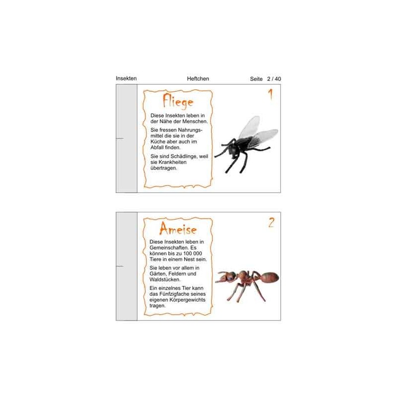 Insekten