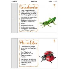 Insekten
