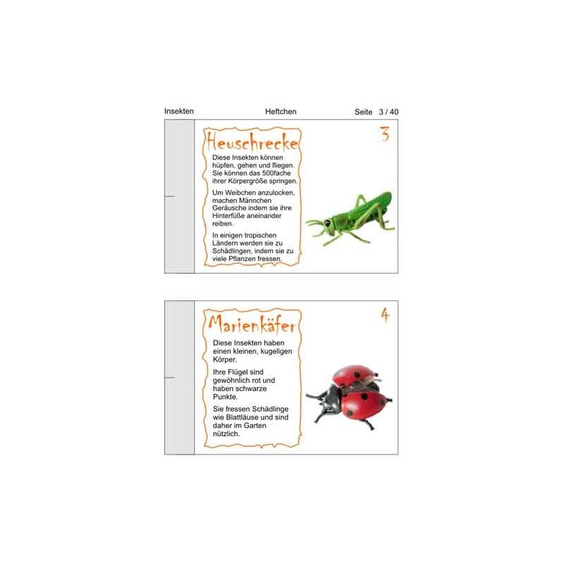 Insekten
