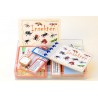 insects