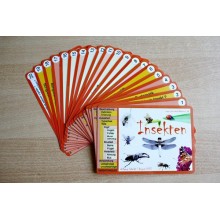 Insekten