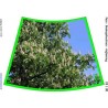 Annual circle for floor with photos 105cm