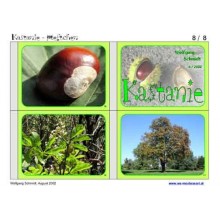 Chestnut material